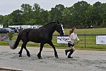 So8ths-5-5-13-SJ-Day-8674-DDeRosaPhoto