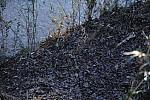 So8ths-2-6-11-126-DDeRosaPhoto.jpg