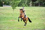 So8ths-4-26-11-0348-DDeRosaPhoto.JPG