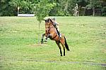 So8ths-4-26-11-0349-DDeRosaPhoto.JPG