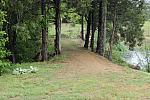 So8ths-4-28-11-0973-TremaineCooper-DDeRosaPhoto.JPG