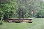 So8ths-4-28-11-1022-TremaineCooper-DDeRosaPhoto.JPG