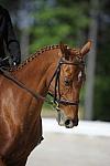 So8ths-11-29-11-DR2-004-DDeRosaPhoto.JPG