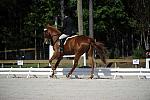 So8ths-11-29-11-DR2-010-DDeRosaPhoto.JPG