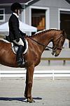 So8ths-11-29-11-DR2-018-DDeRosaPhoto.JPG