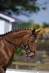 So8ths-11-29-11-DR2-031-DDeRosaPhoto.JPG