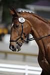 So8ths-11-29-11-DR2-041-DDeRosaPhoto.JPG