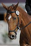 So8ths-11-29-11-DR2-062-DDeRosaPhoto.JPG