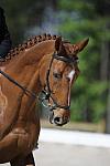 So8ths-11-29-11-DR2-077-DDeRosaPhoto.JPG