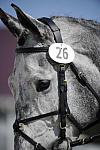 So8ths-11-29-11-DR2-099-DDeRosaPhoto.JPG