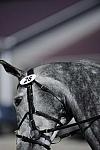 So8ths-11-29-11-DR2-121-DDeRosaPhoto.JPG