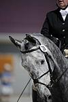 So8ths-11-29-11-DR2-139-DDeRosaPhoto.JPG
