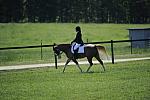 So8ths-11-29-11-DR2-196-DDeRosaPhoto.JPG