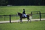 So8ths-11-29-11-DR2-197-DDeRosaPhoto.JPG