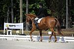 So8ths-11-29-11-DR2-232-AnneLane-Maunder-PennyLane-DDeRosaPhoto.JPG
