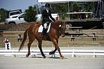 So8ths-11-29-11-DR2-240-AnneLane-Maunder-PennyLane-DDeRosaPhoto.JPG