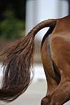 So8ths-11-29-11-DR2-255-AnneLane-Maunder-PennyLane-DDeRosaPhoto.JPG