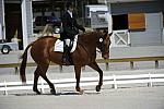 So8ths-11-29-11-DR2-262-AnneLane-Maunder-PennyLane-DDeRosaPhoto.JPG