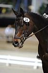 So8ths-11-29-11-DR2-309-DDeRosaPhoto.JPG