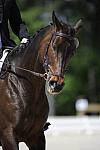 So8ths-11-29-11-DR2-324-DDeRosaPhoto.JPG