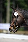 So8ths-11-29-11-DR2-343-DDeRosaPhoto.JPG