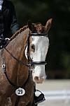 So8ths-11-29-11-DR2-358-DDeRosaPhoto.JPG
