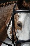 So8ths-11-29-11-DR2-360-DDeRosaPhoto.JPG