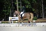 So8ths-11-29-11-DR2-370-DDeRosaPhoto.JPG