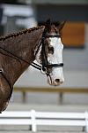 So8ths-11-29-11-DR2-375-DDeRosaPhoto.JPG