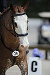 So8ths-11-29-11-DR2-376-DDeRosaPhoto.JPG