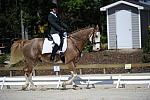 So8ths-11-29-11-DR2-378-DDeRosaPhoto.JPG