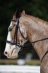 So8ths-11-29-11-DR2-381-DDeRosaPhoto.JPG