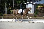 So8ths-11-29-11-DR2-403-DDeRosaPhoto.JPG