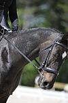 So8ths-11-29-11-DR2-439-DDeRosaPhoto.JPG