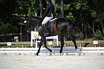 So8ths-11-29-11-DR2-443-DDeRosaPhoto.JPG