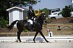 So8ths-11-29-11-DR2-484-DDeRosaPhoto.JPG