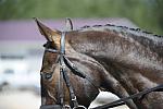 So8ths-11-29-11-DR2-491-DDeRosaPhoto.JPG