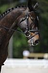 So8ths-11-29-11-DR2-526-DDeRosaPhoto.JPG