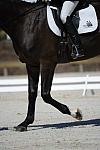 So8ths-11-29-11-DR2-530-DDeRosaPhoto.JPG