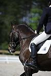So8ths-11-29-11-DR2-538-DDeRosaPhoto.JPG