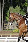 So8ths-4-28-11-DR-1470-DDeRosaPhoto.JPG