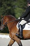 So8ths-4-28-11-DR-1476-DDeRosaPhoto.JPG