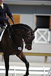 So8ths-4-28-11-DR-1636-DDeRosaPhoto.JPG