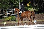 So8ths-4-28-11-DR-1675-DDeRosaPhoto.JPG