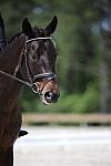 So8ths-4-28-11-DR-1755-DDeRosaPhoto.JPG