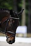 So8ths-4-28-11-DR-1756-DDeRosaPhoto.JPG