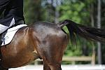 So8ths-4-28-11-DR-1762-DDeRosaPhoto.JPG