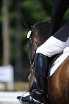 So8ths-4-28-11-DR-1767-DDeRosaPhoto.JPG