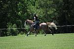 So8ths-4-29-11-2446-DDeRosaPhoto.JPG