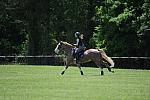 So8ths-4-29-11-2449-DDeRosaPhoto.JPG